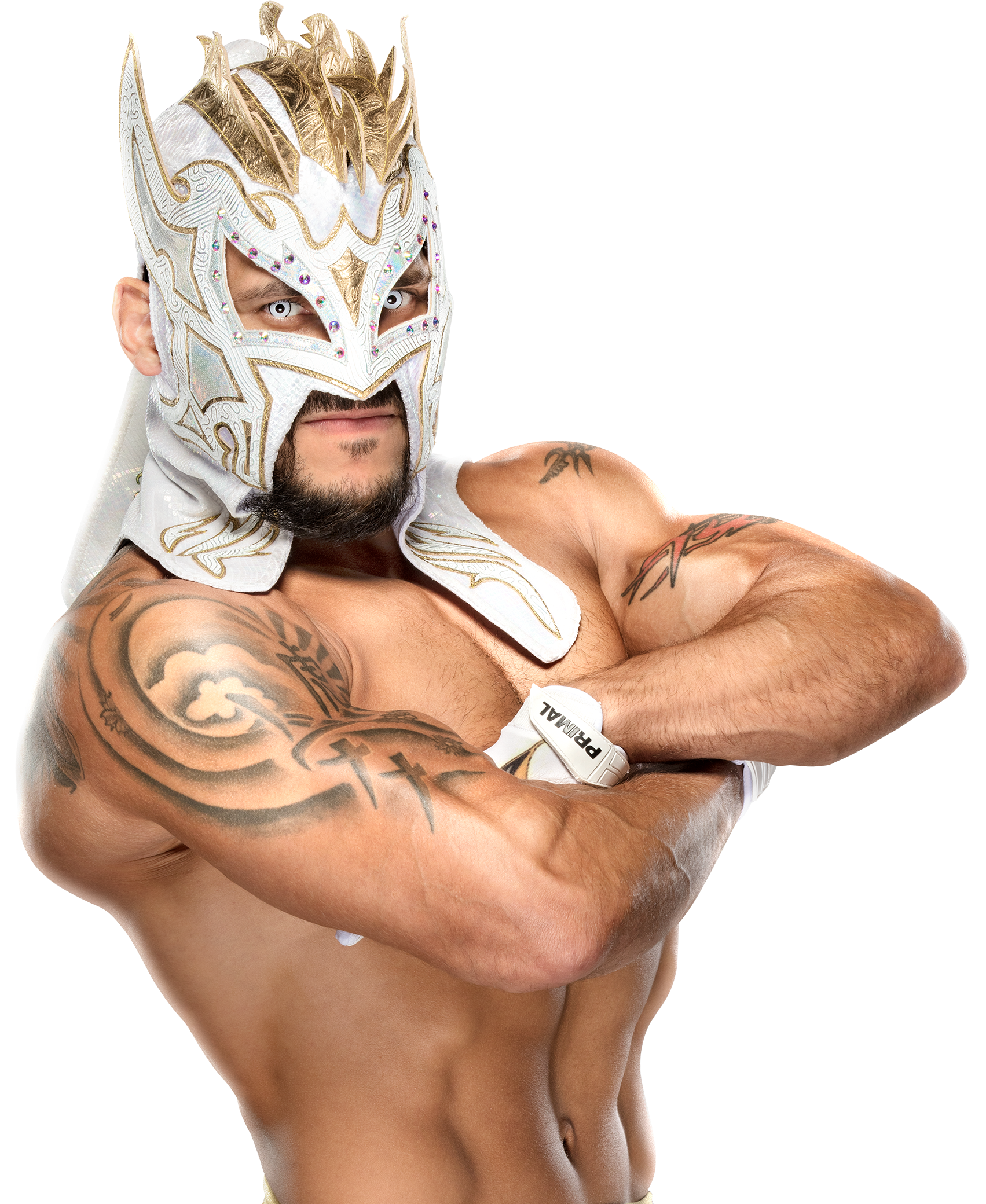 kalisto